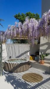 Le 180 à Balazuc - Vue exceptionnelle sur les Gorges de lArdèche & Jacuzzi