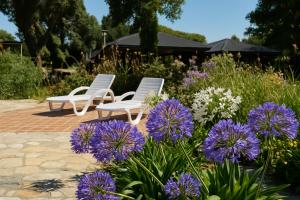 KEIKI Complejo Cabañas