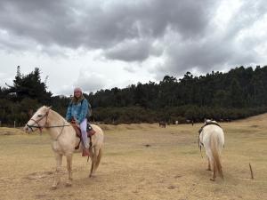 Cabalgatas Culturales en los Andes, Experiencia Auténtica con Caballos en Cusco, Perú
