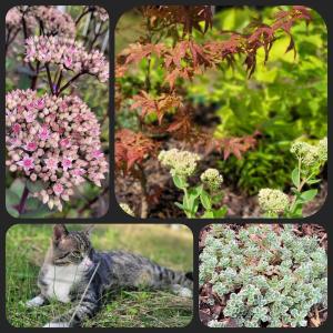 Gartenblick Kottenheim - Gemütliche 95qm mit eigenem Garten