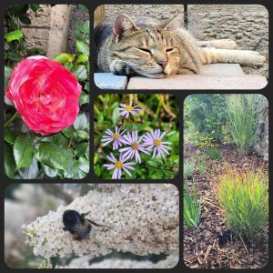 Gartenblick Kottenheim - Gemütliche 95qm mit eigenem Garten