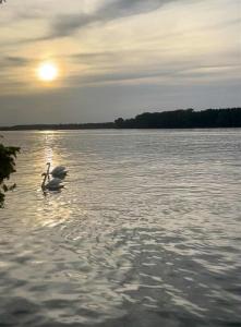 Apartman KEJ Smederevo