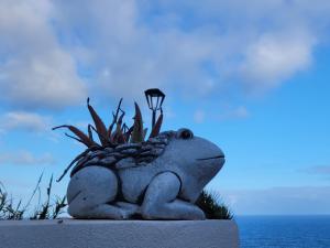 Anaga Manolo Natural House