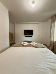 T1 calme et confort Avenue Garibaldi - DABNB