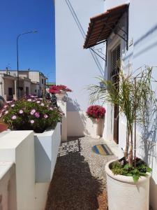 Casa Zii Mpeu by Salentoaffitti