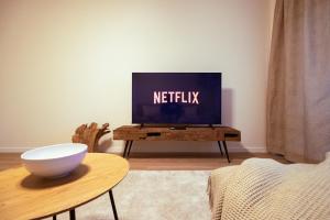 Modern and comfortable city apartment