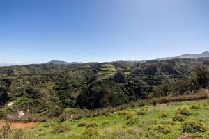 Apartment with a view