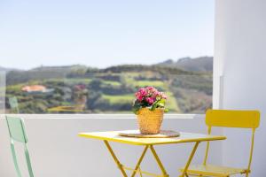 Penthouse with a View