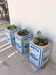 Spacious villa overlooking beach with private pool