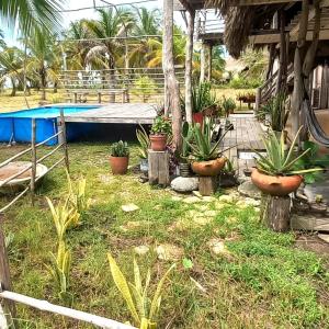 Coco y arena cabaña frente al mar, lejos del turismo y cerca a los manglares