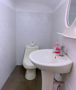 Amplio Departamento hasta 14 personas