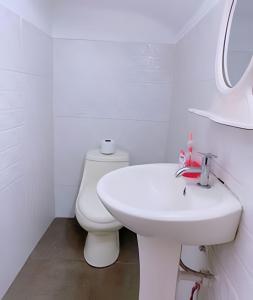 Amplio Departamento hasta 14 personas
