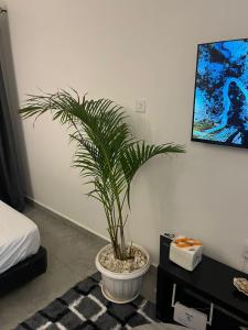 Tsavo Sentinel - Studio Apartment