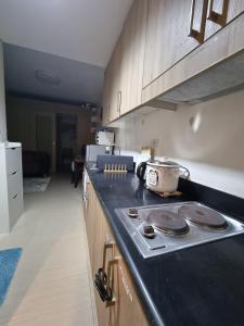 Apartment Condo Unit 1-br Self-contained