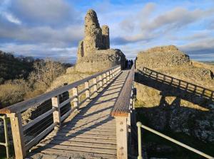Honey Bee Cottage Tiny House Welshpool