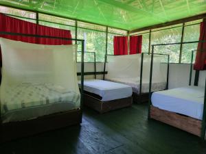 Allpayacu Lodge- Accomodation, Food & Jungle Tour Included