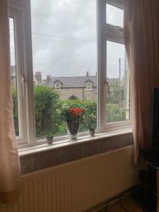 Room only guest accommodation, guest house self catering