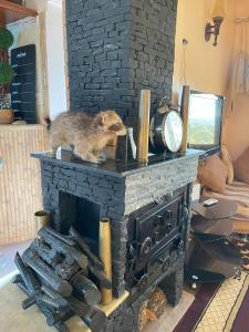 Appartement de céder