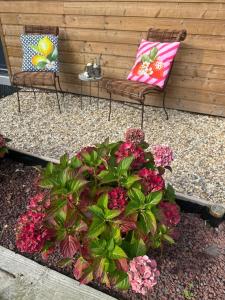 Le jardin de Lokijoy