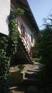 Apartment Těchov