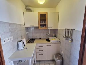 Apartments with parking space Rovinj - 20538