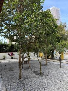 Quarto 5 Centro Itajai