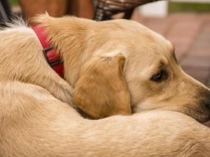 JACKETS NEST Am Westkaap 3B