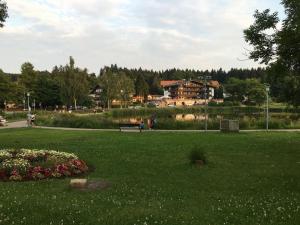 Holiday apartment HANNAH Cocksfoot - Hotel 3 stelle a Hahnenklee-Bockswiese