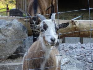 Holiday apartment Auf dem Sohlberg