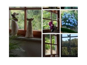 Holiday apartment Auf dem Sohlberg