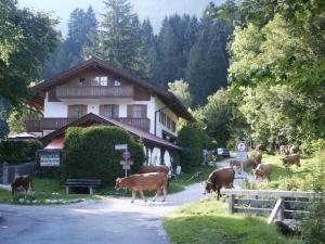 Holiday apartment Zugspitze