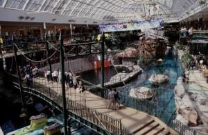 Cozy Suite near West Edmonton Mall