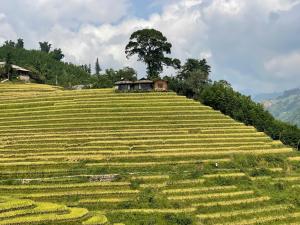 Best View Homestay
