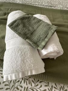 Les instants de Dax - Au coeur des thermes