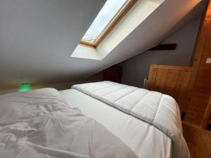 Charmant T2 Mezzanine au Centre de Samoëns avec Balcon, WIFI - FR-1-624-182