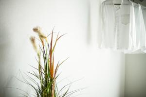 VACATION RENT Kanazawa - Vacation STAY 69392v