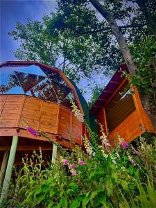 Glamping Domos del Lago