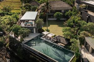 OMEKAI Cemagi by Nakula