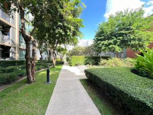 D Condo Sign 清迈 9月大优惠 每晚只需399