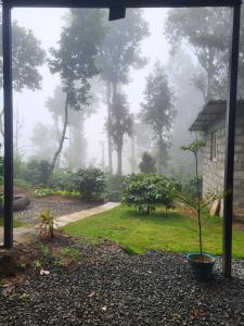 Kodai Glamping Woods