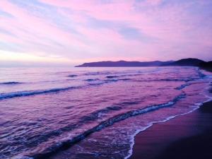 Village Camping Hawaii