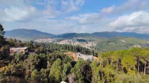 Lohaghat View Homestay