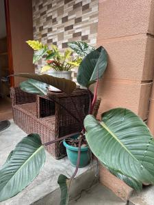 Matityahu House - Cozy, Spacious and DOT-Accredited