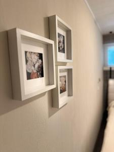 Schwarzwaldloge Zeitlos