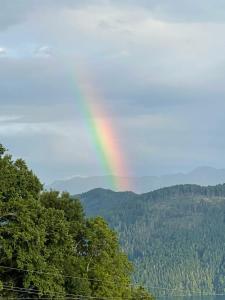 Haus Kleiner Seeblick