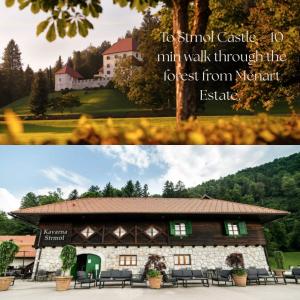 Menart Estate apartments