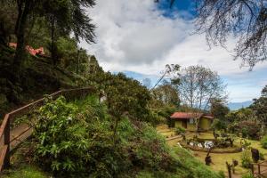 Paraíso Quetzal Lodge, Tres de Junio