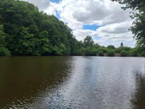 Charmant studio à Néris-les-Bains de 20 m²