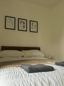 Stephens Brae Apartment, Inverness City Centre