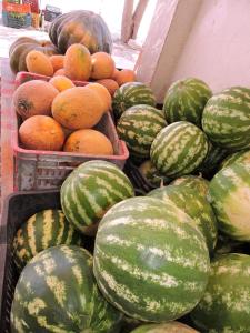 APPARTEMENT avec piscine tout équipé à Médenine